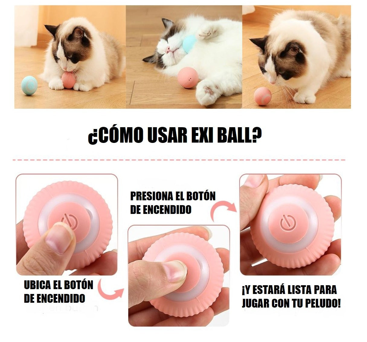 ExiBall Gatos y Perros pequeños: Juguete interactivo para mascotas